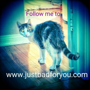 Follow this link to www.justbadforyou.com/blog