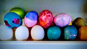 Brightly colored (and not colored) eggs.